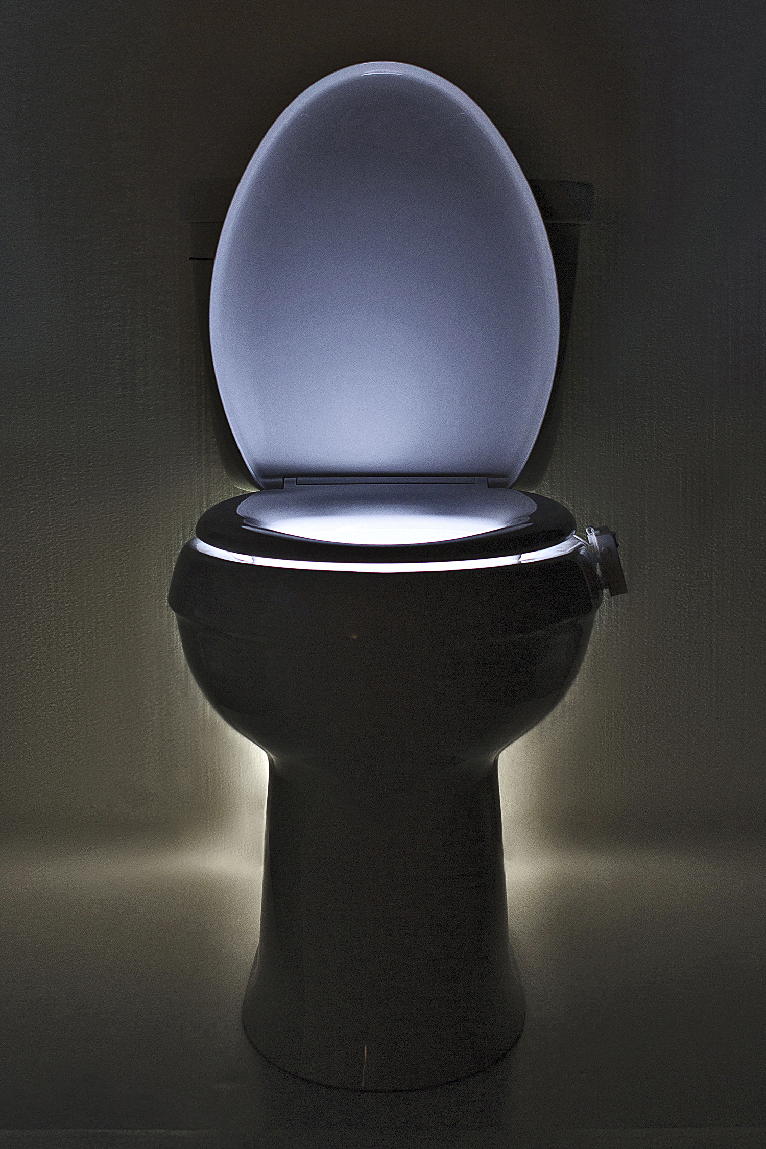 Lighted toilet seat